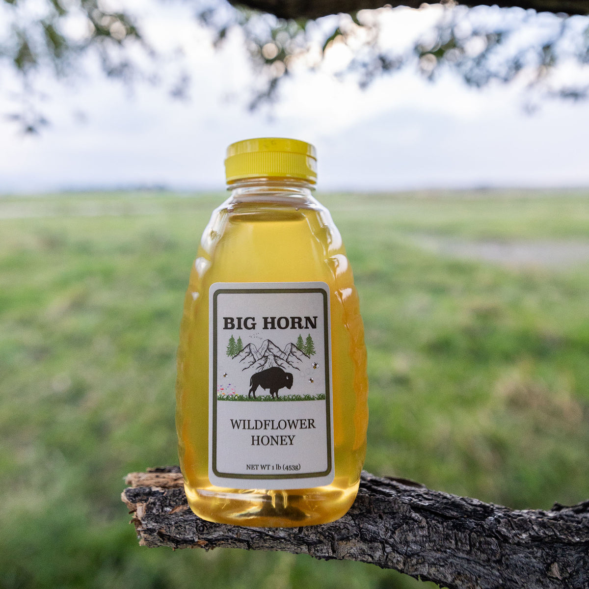 Big Horn Bison Wildflower Pasteurized Honey - 16 oz